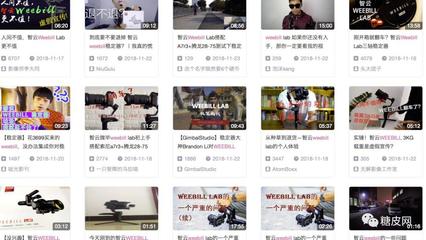 智云WEEBILL穩(wěn)定器量產(chǎn)版“黑”評測 專業(yè)攝影師的掌中利器